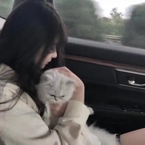 带猫咪的女生头像