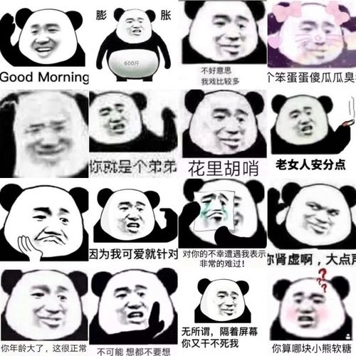 沙雕熊猫头日常实用斗图怼人恶搞魔动态图片素材,2.88,2.88,4,604