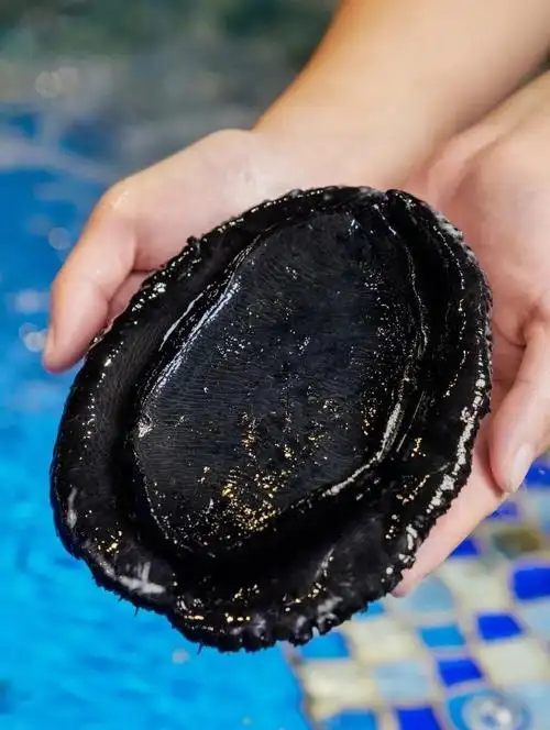 新西兰大黑金鲍鱼