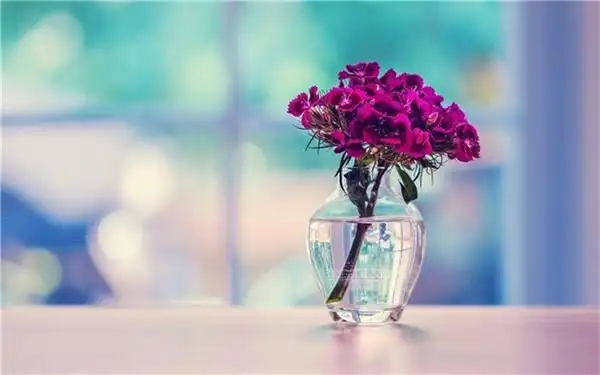唯美小清新花瓶文艺风意境图片素材