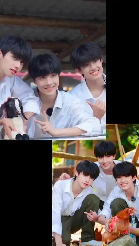 找出比他们还废物的三人组 #张极 #朱志鑫#苏新皓