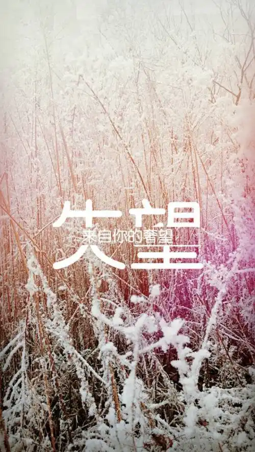 歌曲《像我这样的人》唱出的无奈和心酸,其实都是我们自己没有定力的