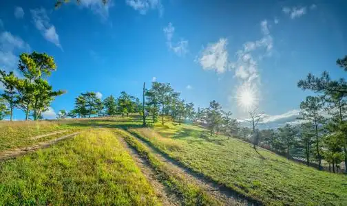 日出在高原上,当太阳醒来到山下的松林,和平地迎接新的一天.照片