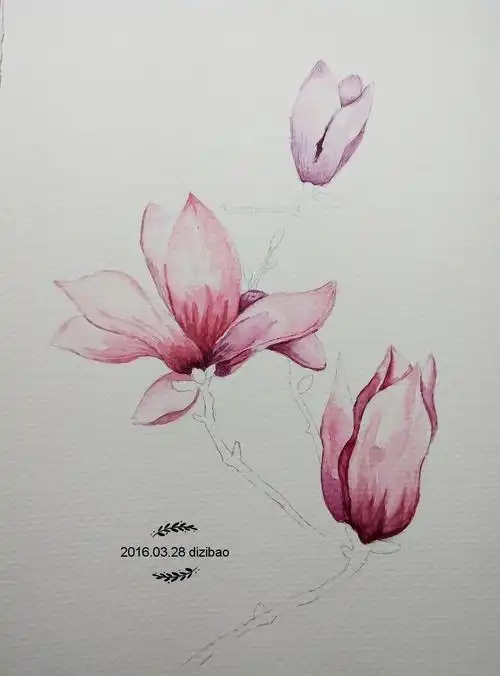 临摹水彩粉色玉兰|纯艺术|绘画|dizibao - 原创作品 - 站酷 (zcool)