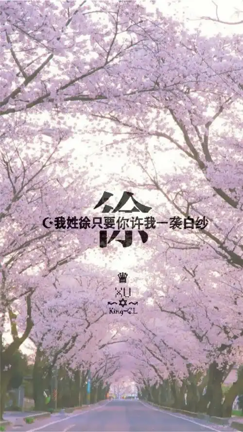 姓氏壁纸我姓徐