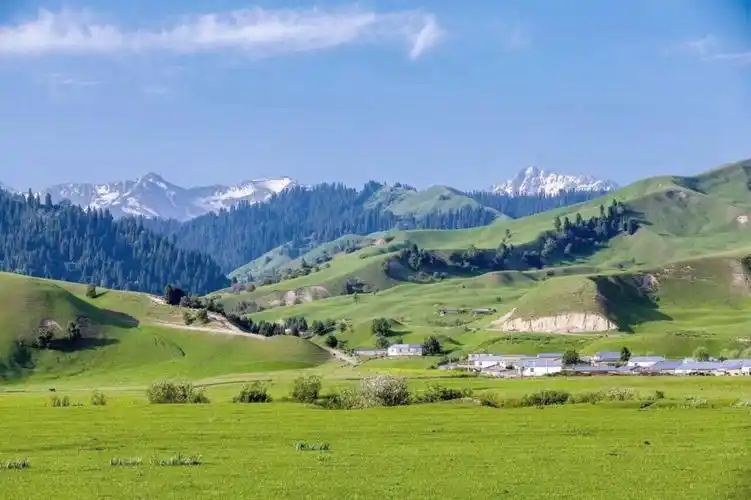 day8伊宁那拉提景区