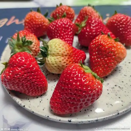 盘装奶油草莓组图图片