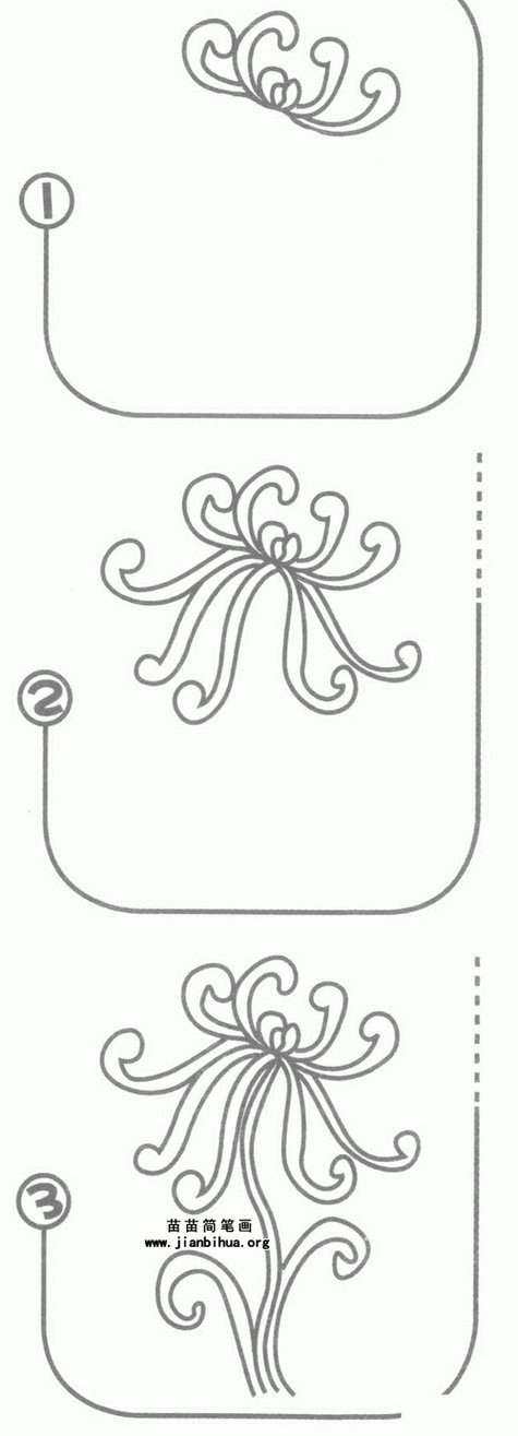 秋天的景物简笔画菊花幼儿画