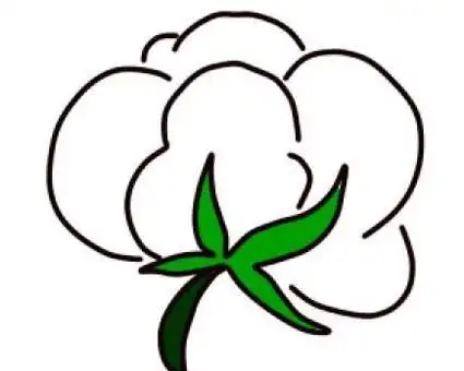 简笔画棉花怎样画-排行时榜