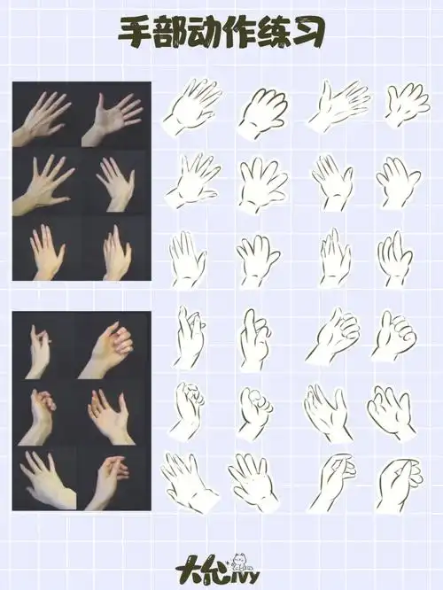手部动作练习各种手势应有尽有