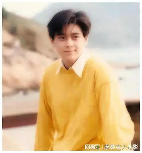 林志颖可以说得上是出道即是巅峰,他凭借着自己帅气的外貌,火速的在