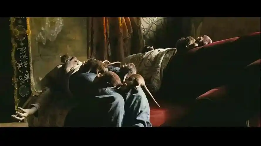 电影门徒里面阿芬死后老鼠在身上爬的镜头是张静初真实拍摄的吗?