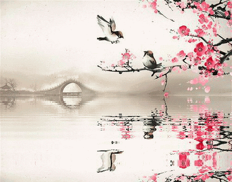 498_392gif 动态图 动图