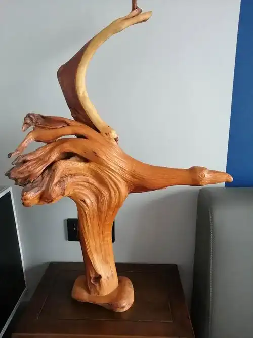 根雕一种天然的艺术品 写美篇崖柏,顾名思义就是生长在悬崖上面的柏树