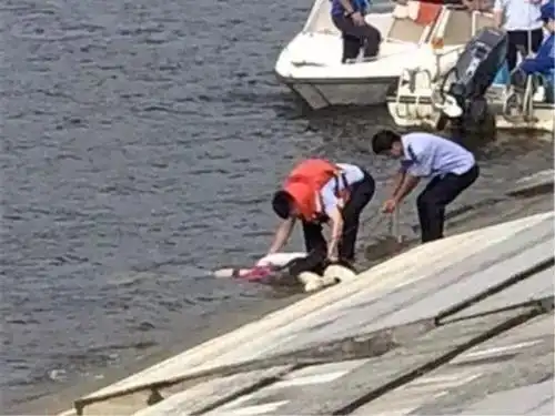 湖南两少女水库游玩不慎溺亡,水库管理者也要承担责任?