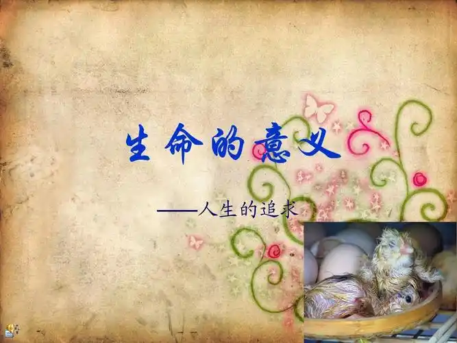 生命的意义ppt,生命的价值,非教学课件,生命的存在价值