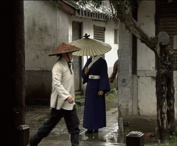 27年了"展昭"去哪了,当年"争昭案"原来幕后另有黑手_何家劲