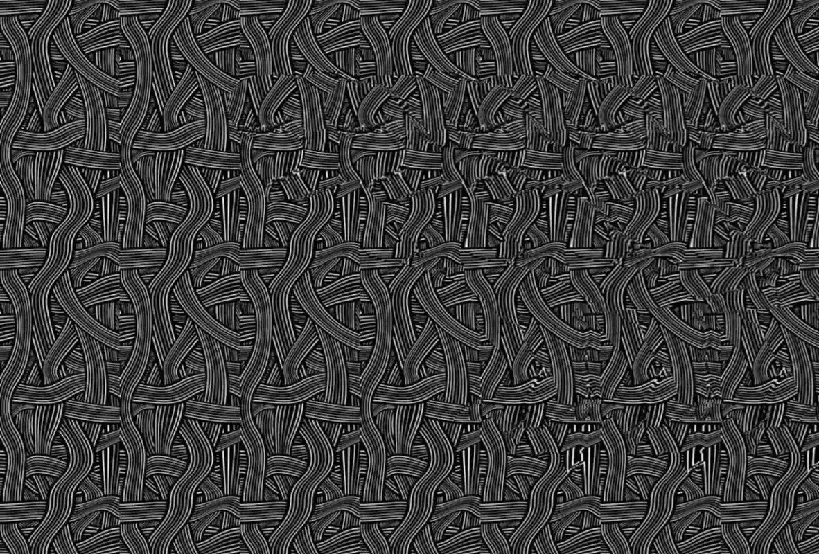 欢迎来到恐龙世界  #裸眼3d隐藏图 #平行眼观看 #视觉冲 - 抖音