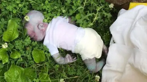 紧急医护人员抵达现场后,与警方一同宣布,「该名婴儿身体发紫无知觉