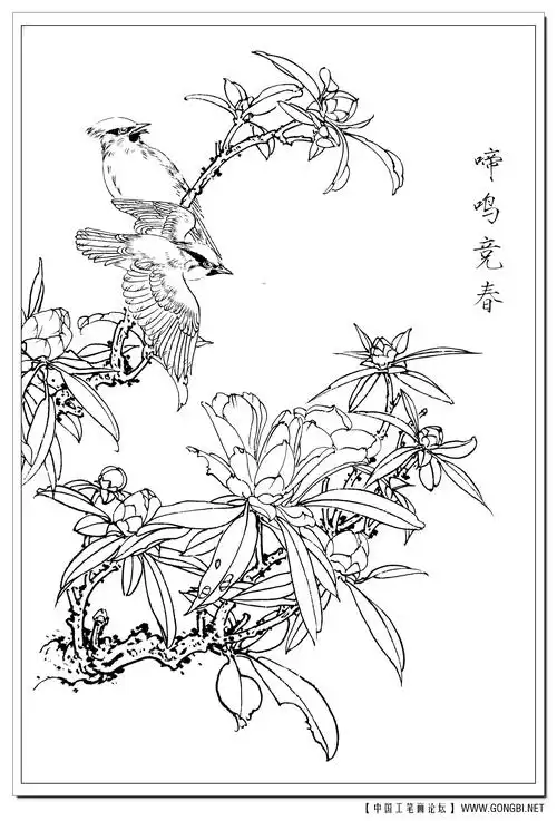 工笔白描可以直接学习的资料喜欢可以直接临摹