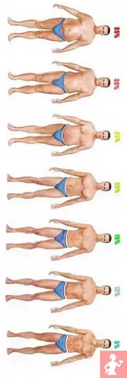 男女版体脂表:简单对照,了解自己身体的脂肪!