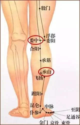 经络不通先通哪一条经络?首选膀胱经