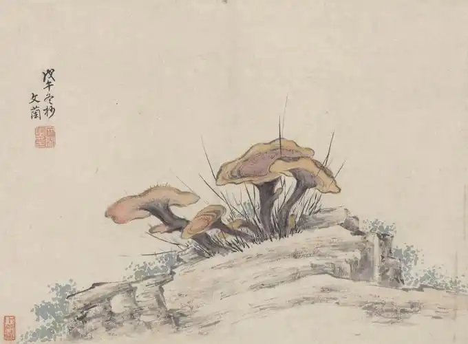 《灵芝图》考释