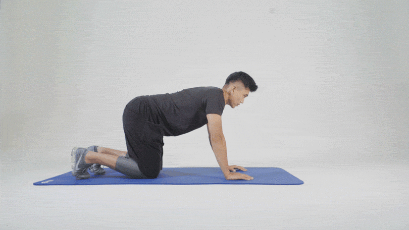 853_480gif 动态图 动图