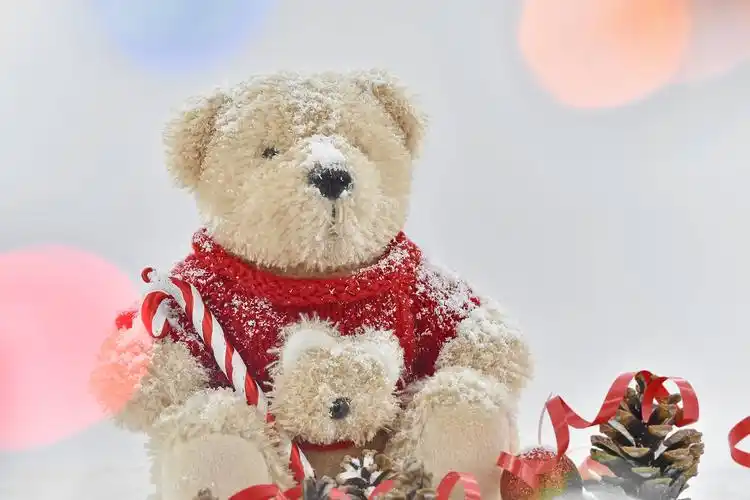 基督教, 圣诞节, 假日, 泰迪熊玩具, 动物, 熊, 棕色, 庆祝, 童年, 冷