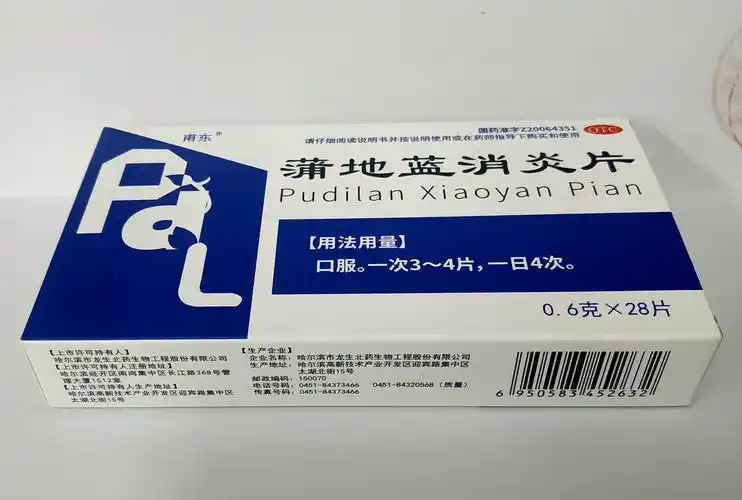 蒲地蓝消炎片06g28s