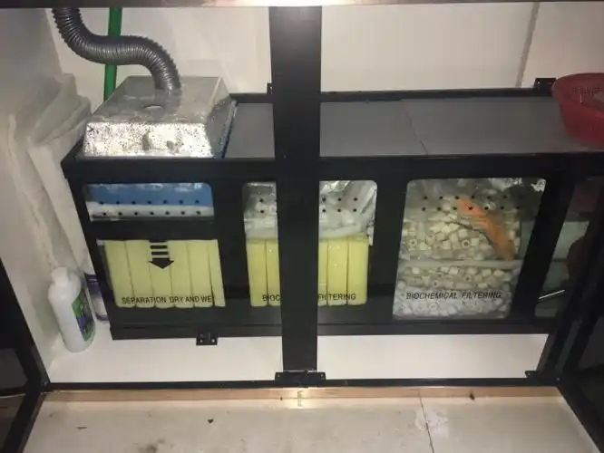 diy个底滤干湿分离感觉挺成功