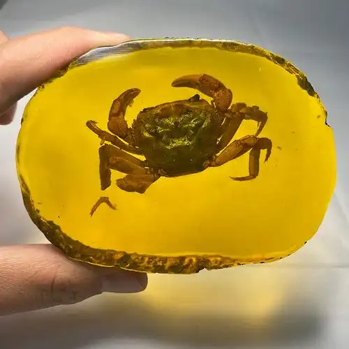 古珍虫珀人工琥珀隔片化石原石吊坠真虫子标本动物真昆虫带虫琥珀送