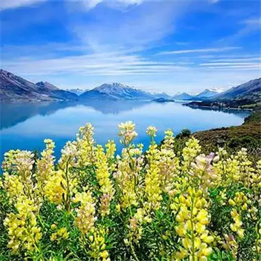 明亮风景qq头像图片半暮未凉