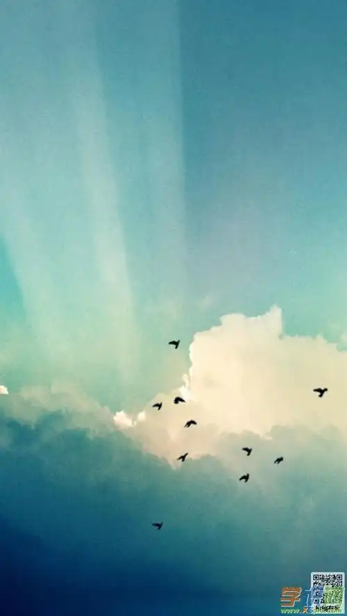 1280x800手机壁纸图片