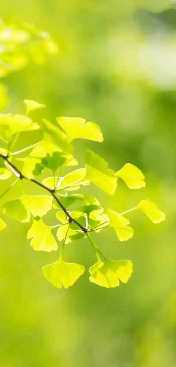 640_1333竖版 竖屏