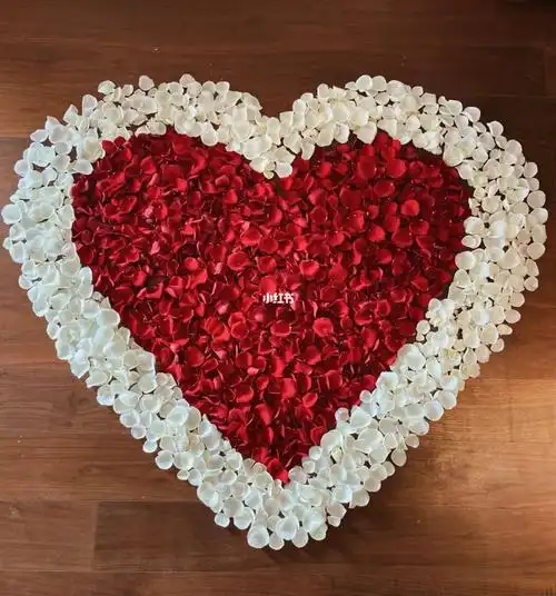 双层玫瑰花瓣爱心