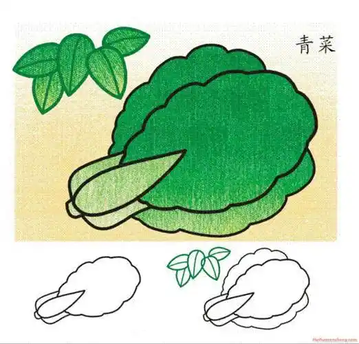 青菜简笔画 青草简笔画图片大全