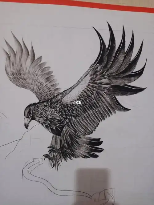 素描鹰