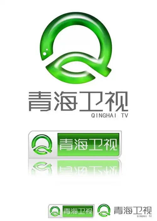 青海卫视频道整体包装设计(台标设计)