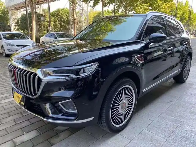 【平顶山二手车】2020年10月_二手红旗 红旗hs5 2019款 2.