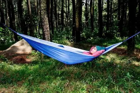 森林吊床图片