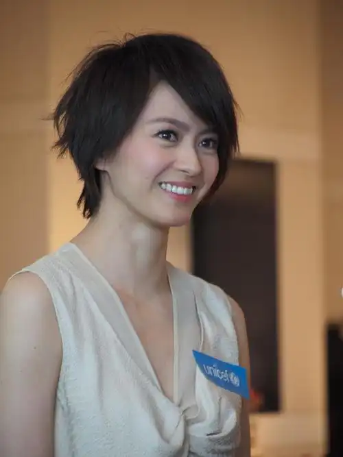 p>梁咏琪(gigi leung),1976年3月25日生于香港,中国香港女歌手,音乐