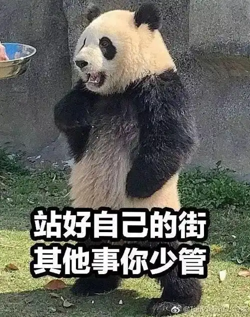 性感国宝在线叉腰这只熊猫火了被网友玩坏了