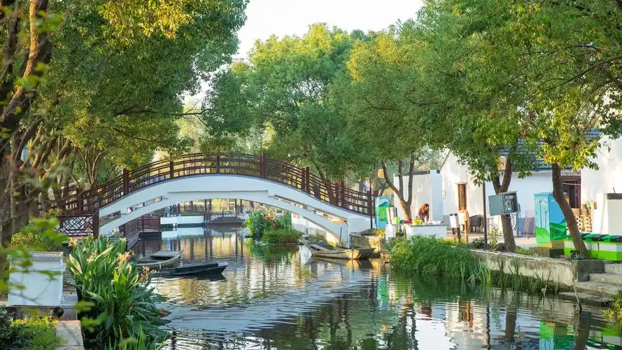 美如画嘉善这条美丽风景线获全市一等奖