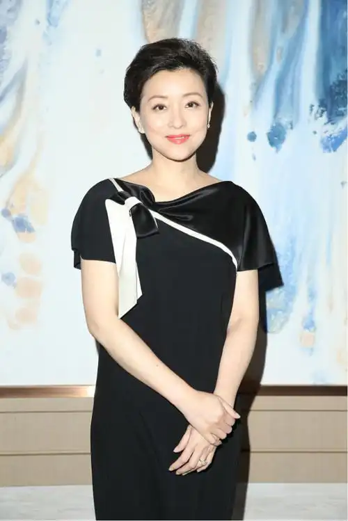 杨澜才是蓬松头发的代表就算是短发形象依旧看着很有女人韵味