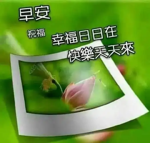 最新每日早安问候语