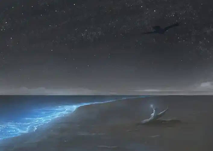 星の落ちる海よー清水动漫插画pixiv海风景背景
