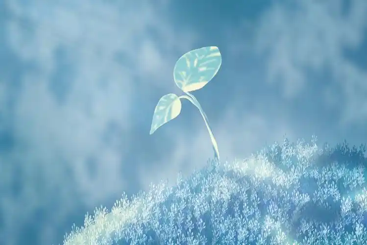 向阳生长 小草 唯美 背景素材 3k壁纸_4k背景图片高清壁纸_墨鱼部落格