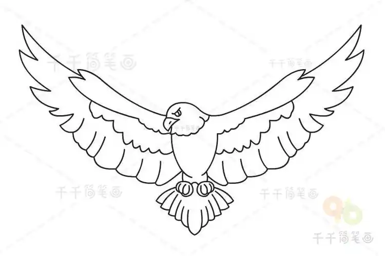儿童老鹰简笔画图片