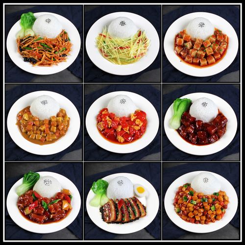 御匠壹品的优惠券大全—仿真盖饭模型假菜品模型盖浇饭米饭炒饭大米